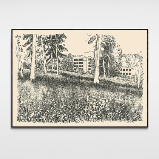 Canvas Print: "A Path in an Abandoned Place"